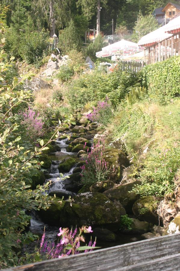 Gaestehaus Zur Lilie Triberg im Schwarzwald Extérieur photo
