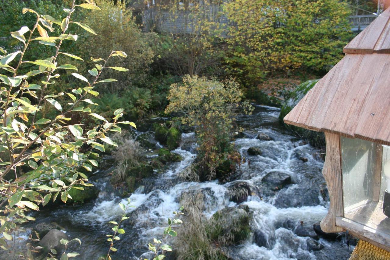 Gaestehaus Zur Lilie Triberg im Schwarzwald Extérieur photo